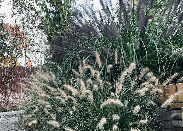 Вилла Tuyo Casa Sarabandy *